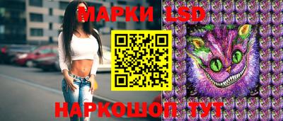 прущие грибы Ирбит
