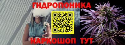 прущие грибы Ирбит