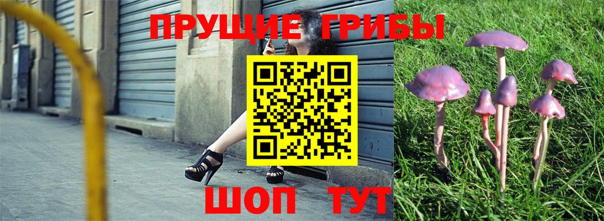 Псилоцибиновые грибы ЛСД  Псилоцибиновые грибы мухоморы  цены   Вход с VPN  Кемерово 